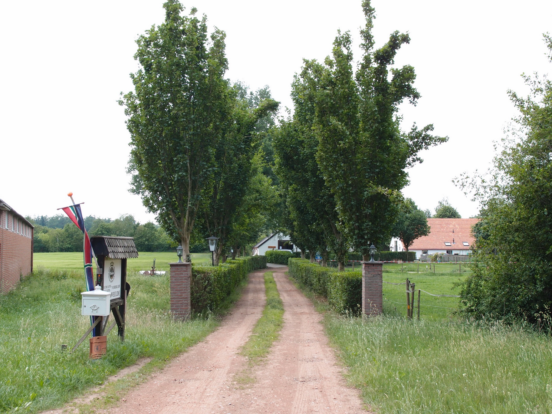TerApel 092.jpg